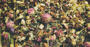 Organic Loose Leaf Tea